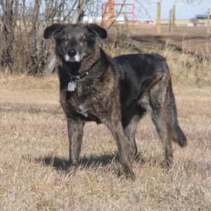 Meet your Posher, Catherine